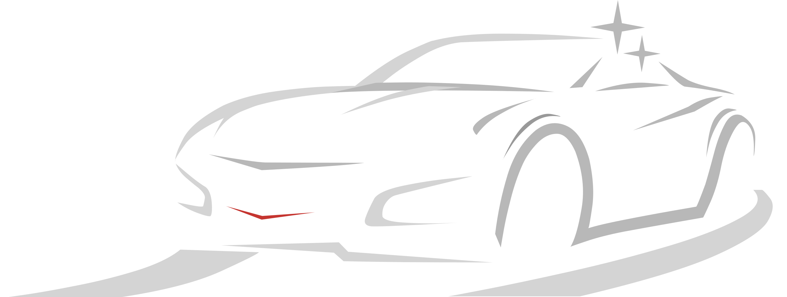 Ace Custom Detailing